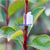 Nuevos clips de soporte de plantas duraderas Vina de jardín Vegetales Tomato para tipos Plantas colgando clip de plástico